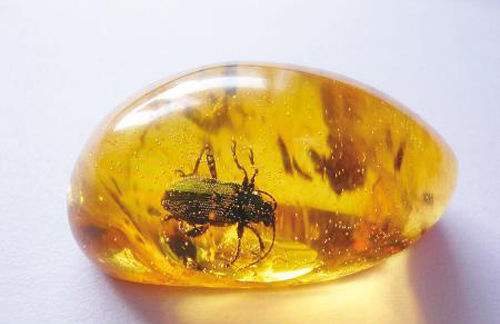 珠宝100种图解,25种晶莹剔透首饰