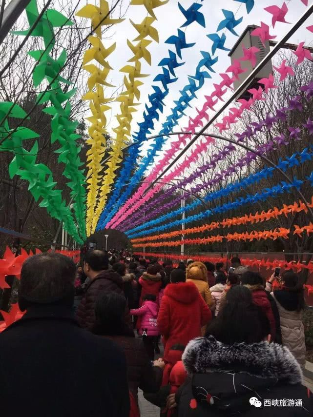 西峡新起点,西峡旅游最新信息
