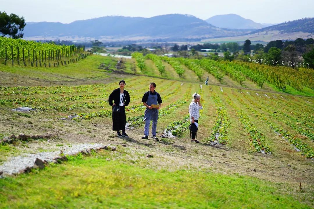去哪里旅游可以看南极企鹅,旅游攻略南极看企鹅