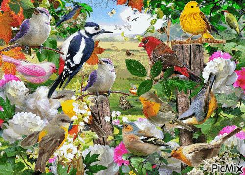 我的家庭相册视频教程,我的家庭相册细节