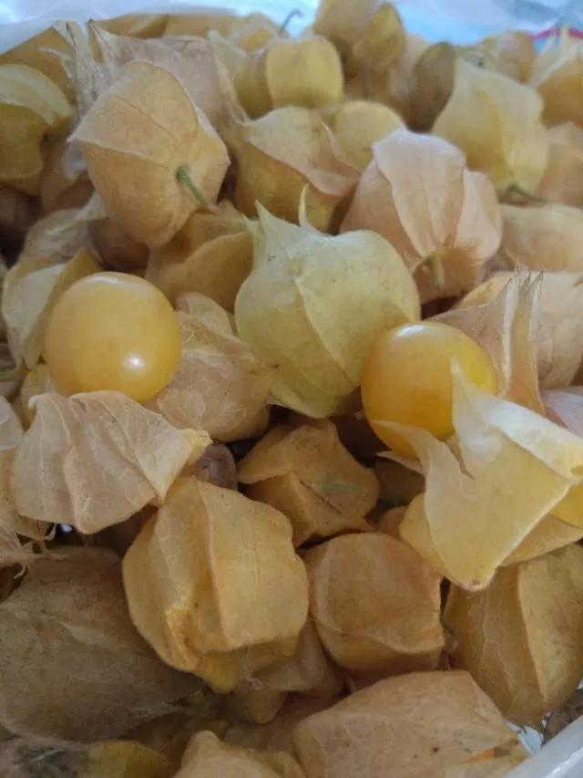 70后的记忆80年代,70后时代记忆