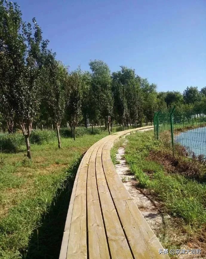 南湖，武清的天使之泪2.0版