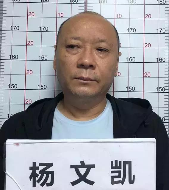 合肥市涉黑涉恶团伙案件,合肥西门战神