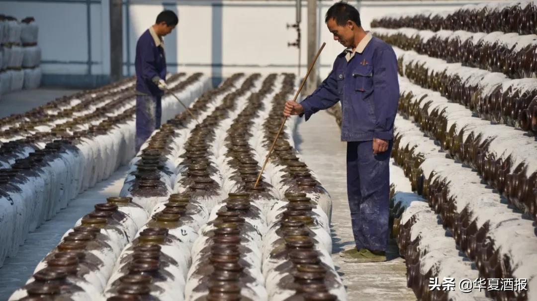 黄酒可能复兴吗,黄酒还有机会复兴吗