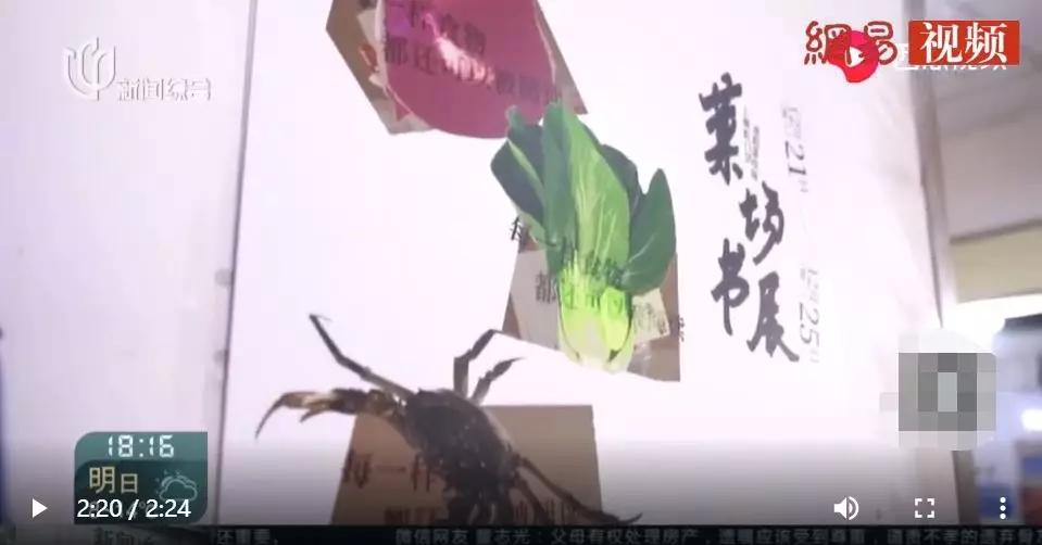 国内绘本行业现状分析,从落后到逆袭