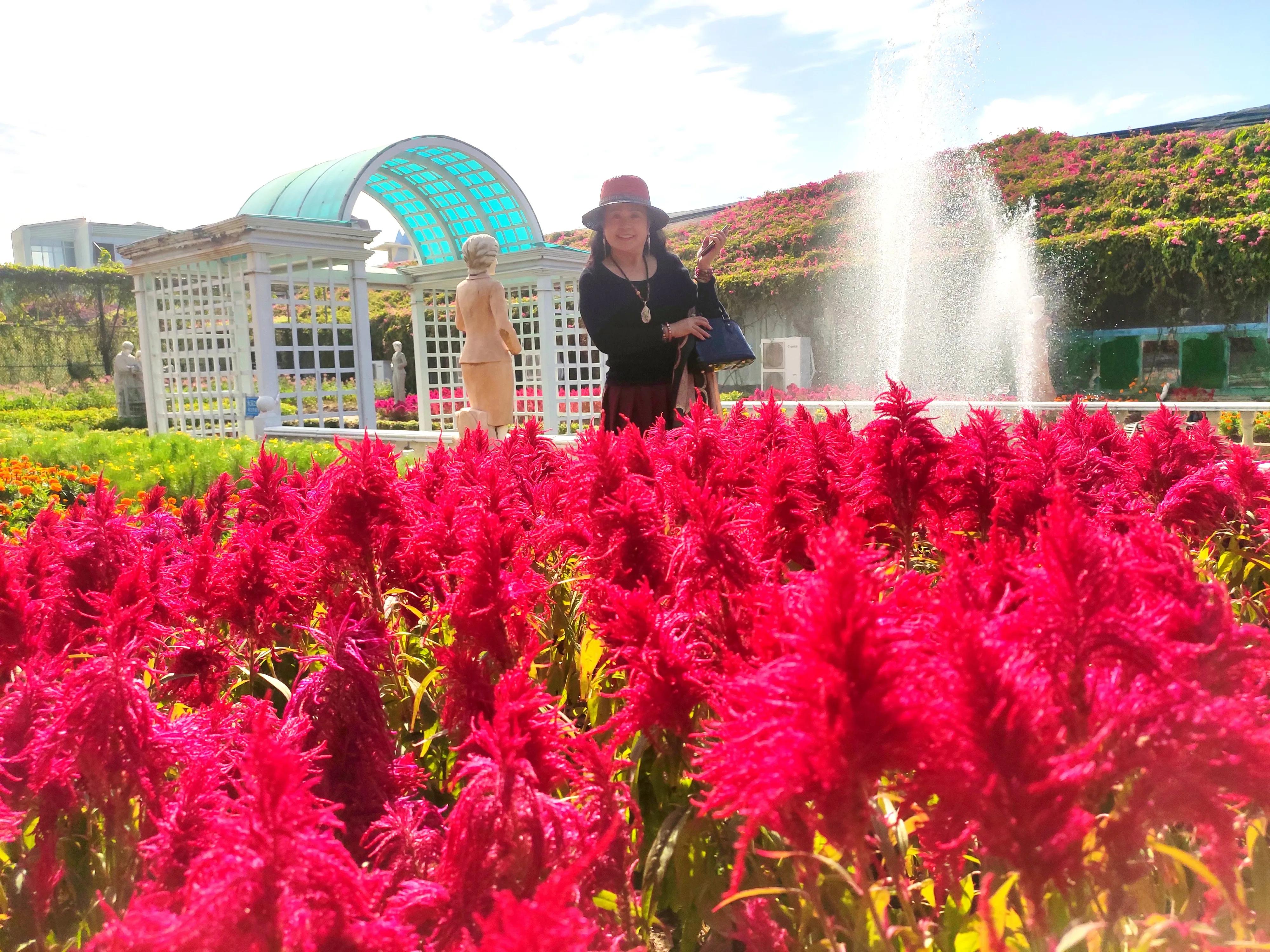 广州番禺百万葵园,广州百万葵园最佳观赏期