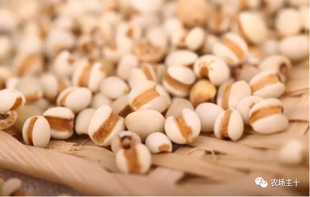 农产品众筹技巧,我国农产品众筹现状