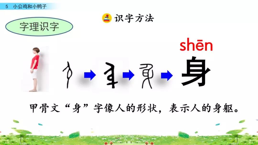 小公鸡和小鸭子一年级下册视频,一年级下语文小公鸡和小鸭子讲解
