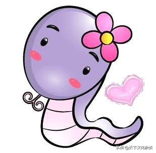 63年女兔2019全年运势和运程,香港苏民峰2019十二生肖运程