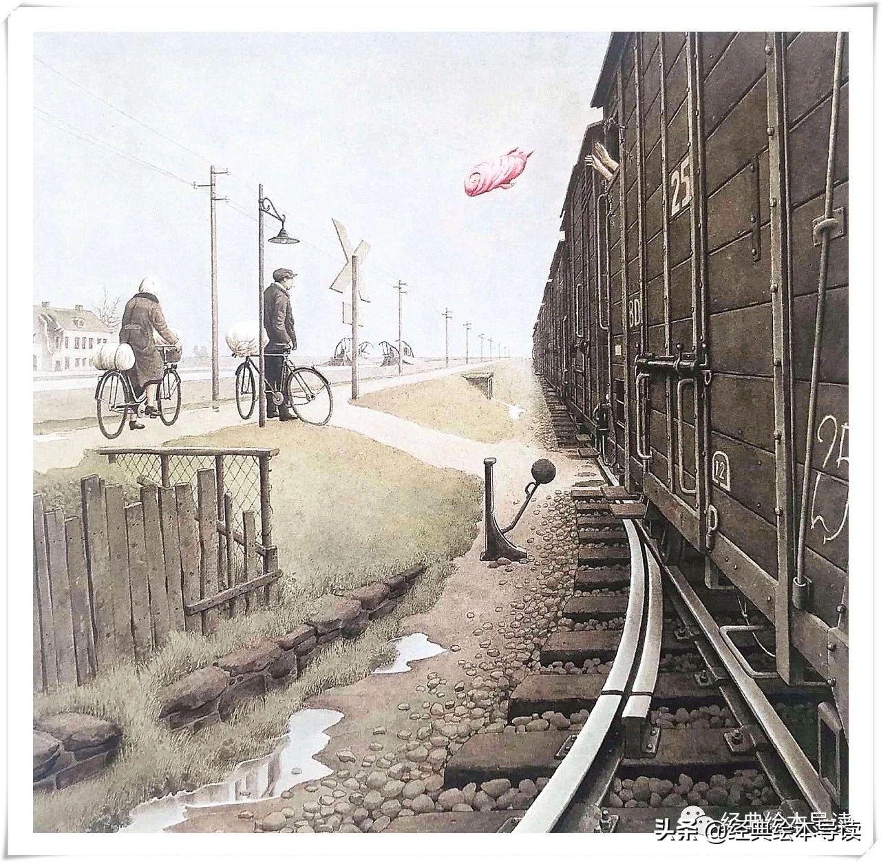 大卫之星书籍 (大卫之星导读书)