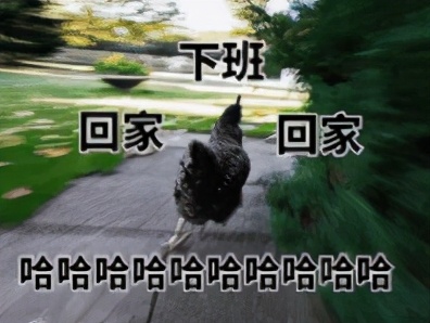 南方蟑螂,广东蟑螂很担心你是什么梗