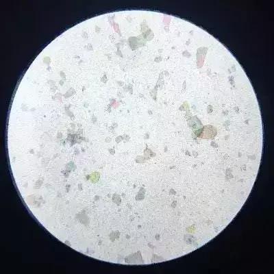 抽奖｜七夕活命指南——迪奥、故宫文创、浪漫鲜花已备好