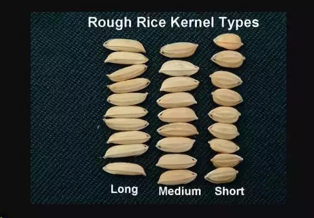 加拿大几十个牌子的米该怎么买？看完这篇就不用发愁了！