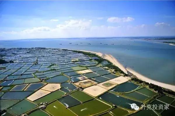 广东鼓浪屿,鼓浪屿成了世外桃源