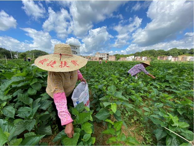 敏捷地产2010年开发哪些项目,敏捷地产公司现状