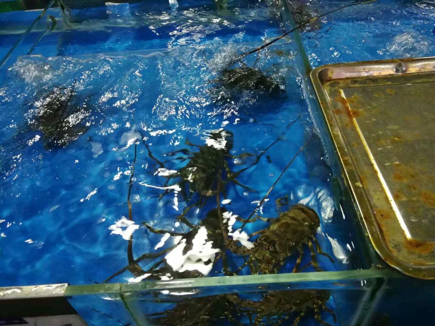 一家人海口旅游攻略,海口一家三口哪里好玩