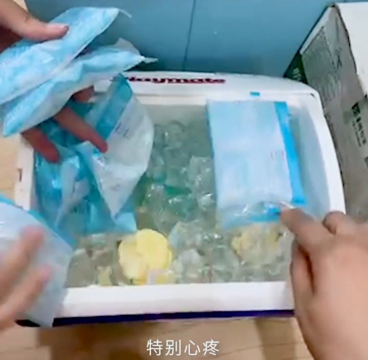 谢娜半个冰箱都是母乳！娱乐圈5位“背奶妈妈”，证明母爱真伟大