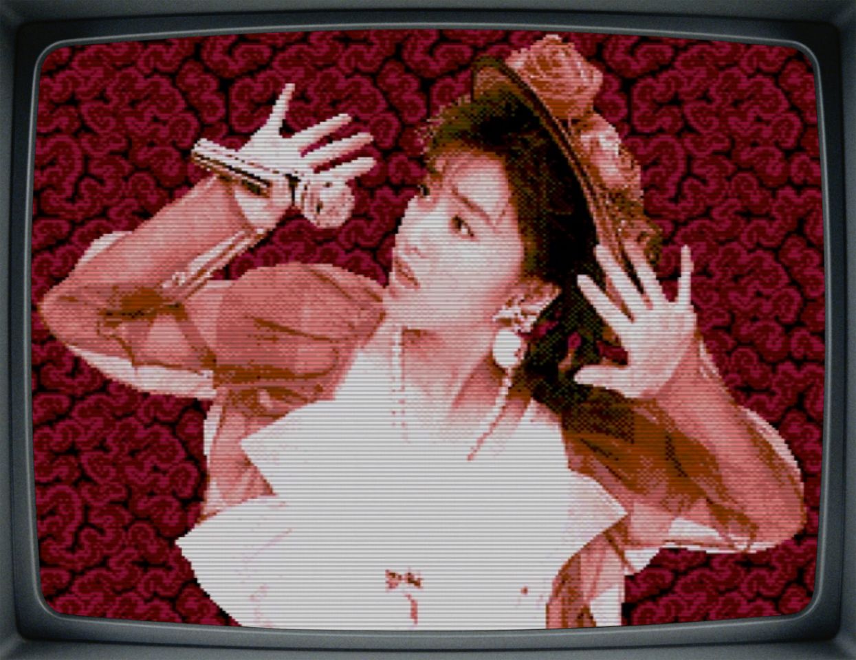 酒井法子去冒险,曾经的女神酒井法子大家还记得吗