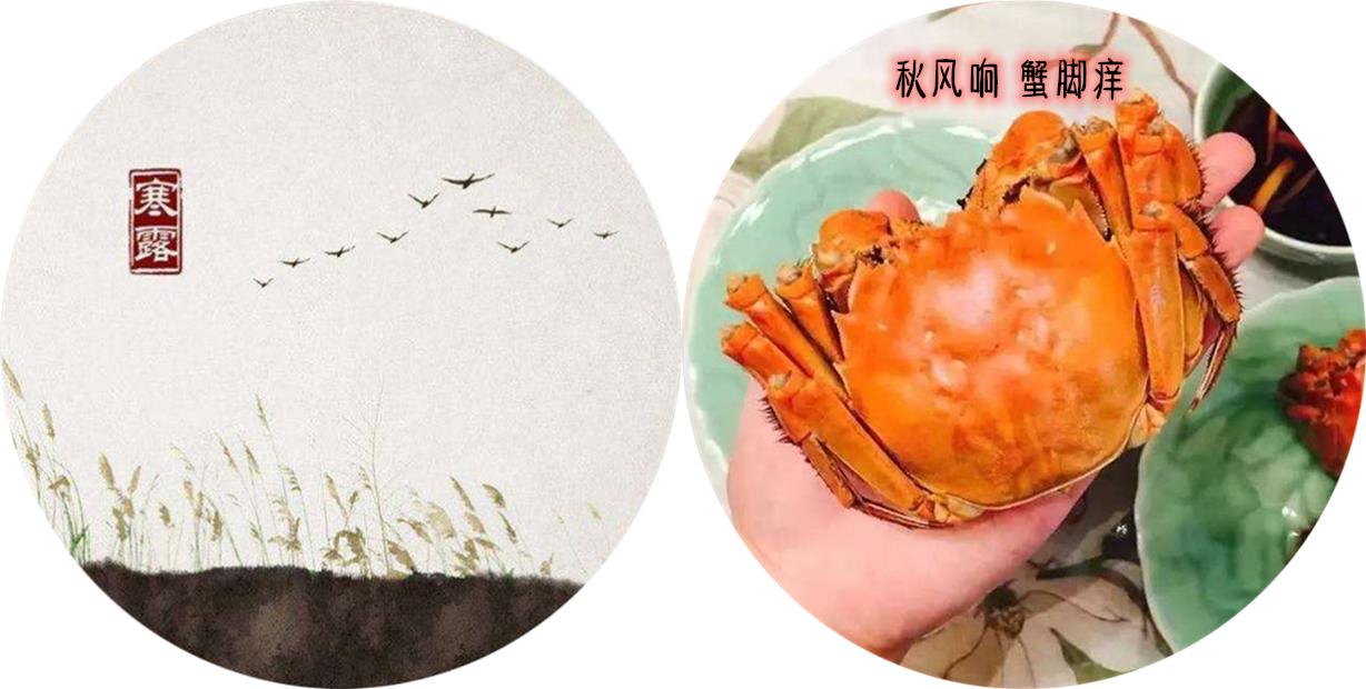 阳澄湖大闸蟹什么时间吃最合适,阳澄湖大闸蟹啥时候吃最好