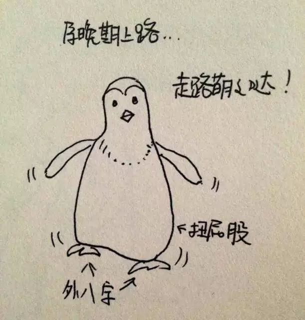 孕妈手绘图,孕妇正在孕吐怎么画简单漂亮