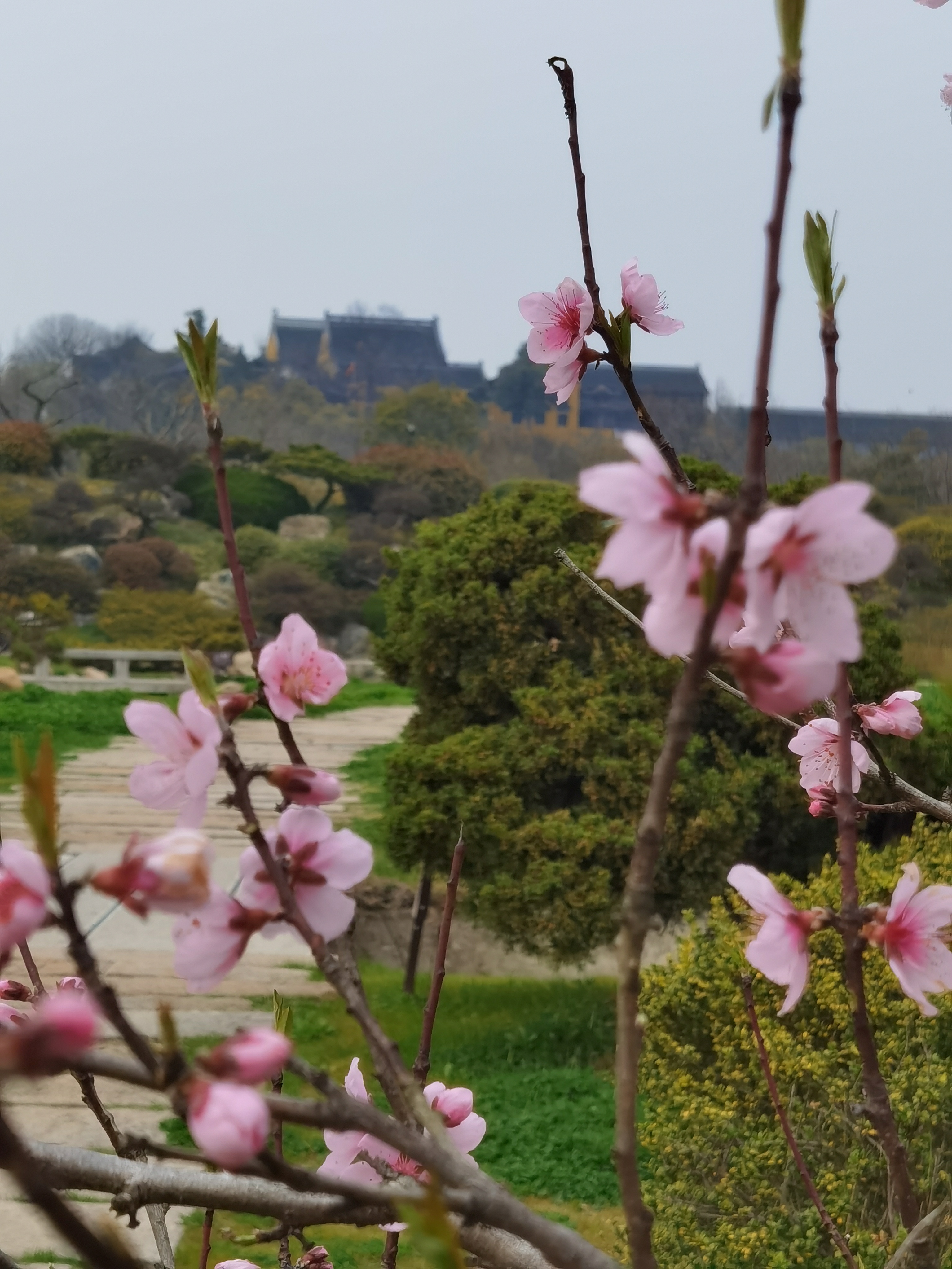 三月的瘦西湖到底有多美,瘦西湖景色到底有多美
