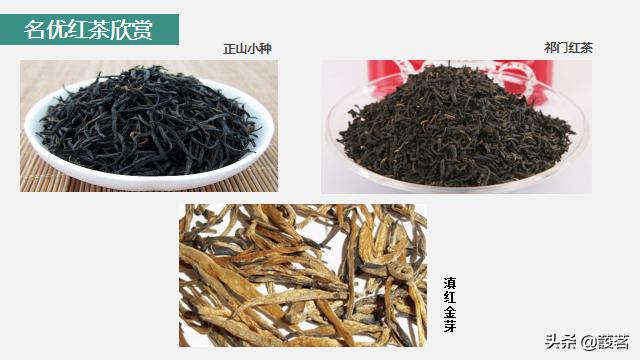 茶叶知识零基础入门手册书电子版,茶叶基础知识讲解课件视频