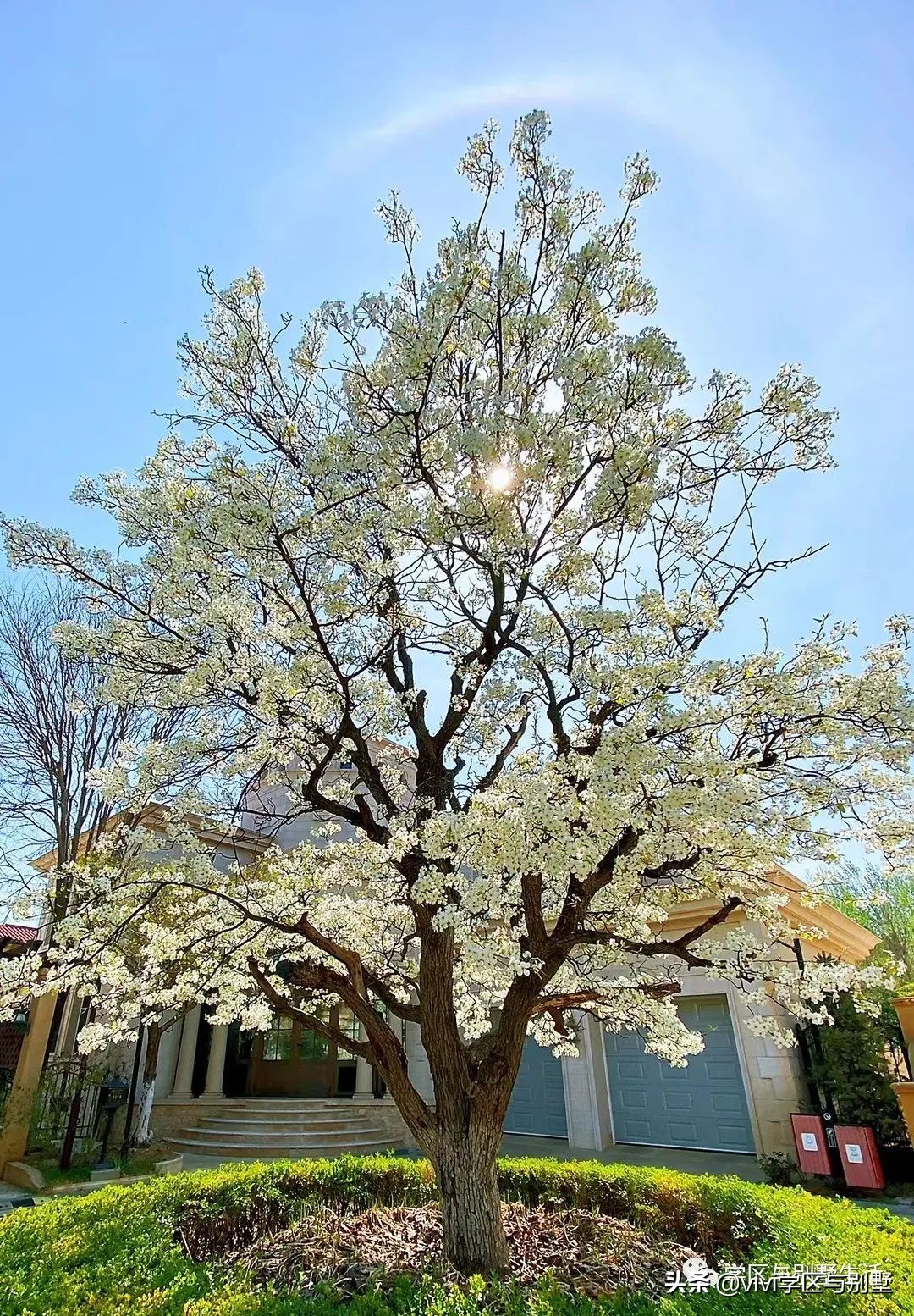 格拉斯小镇别墅外观图,格拉斯小镇2000平别墅