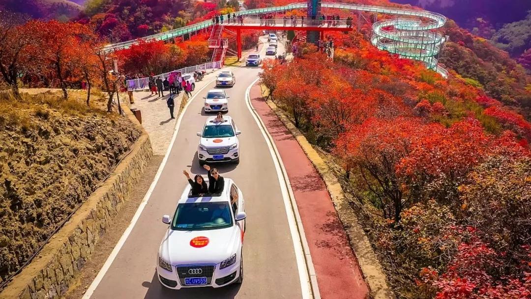 打造地方特色文旅项目,重磅打造的文旅项目