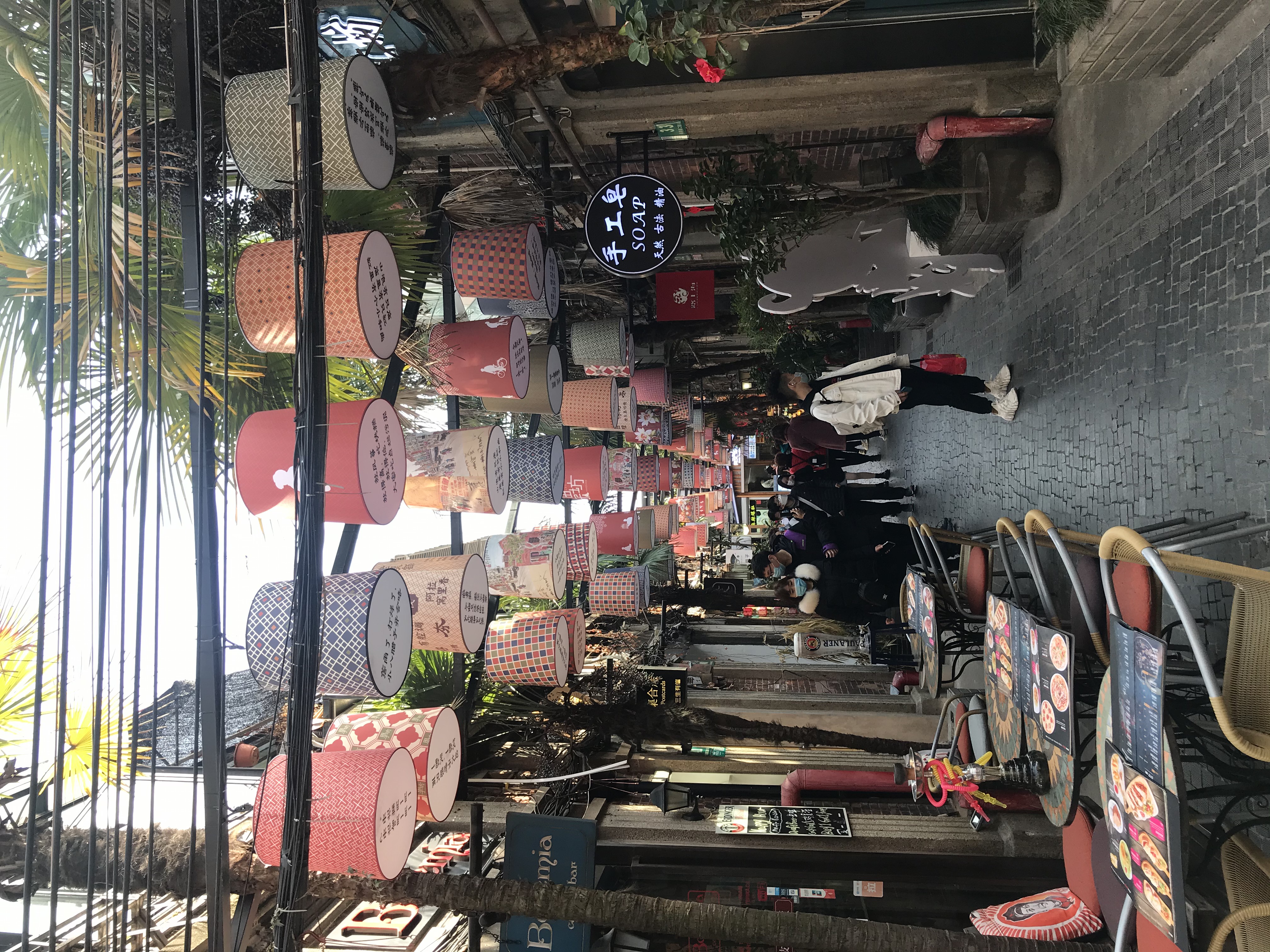 上海的春天视频,上海的春天美景