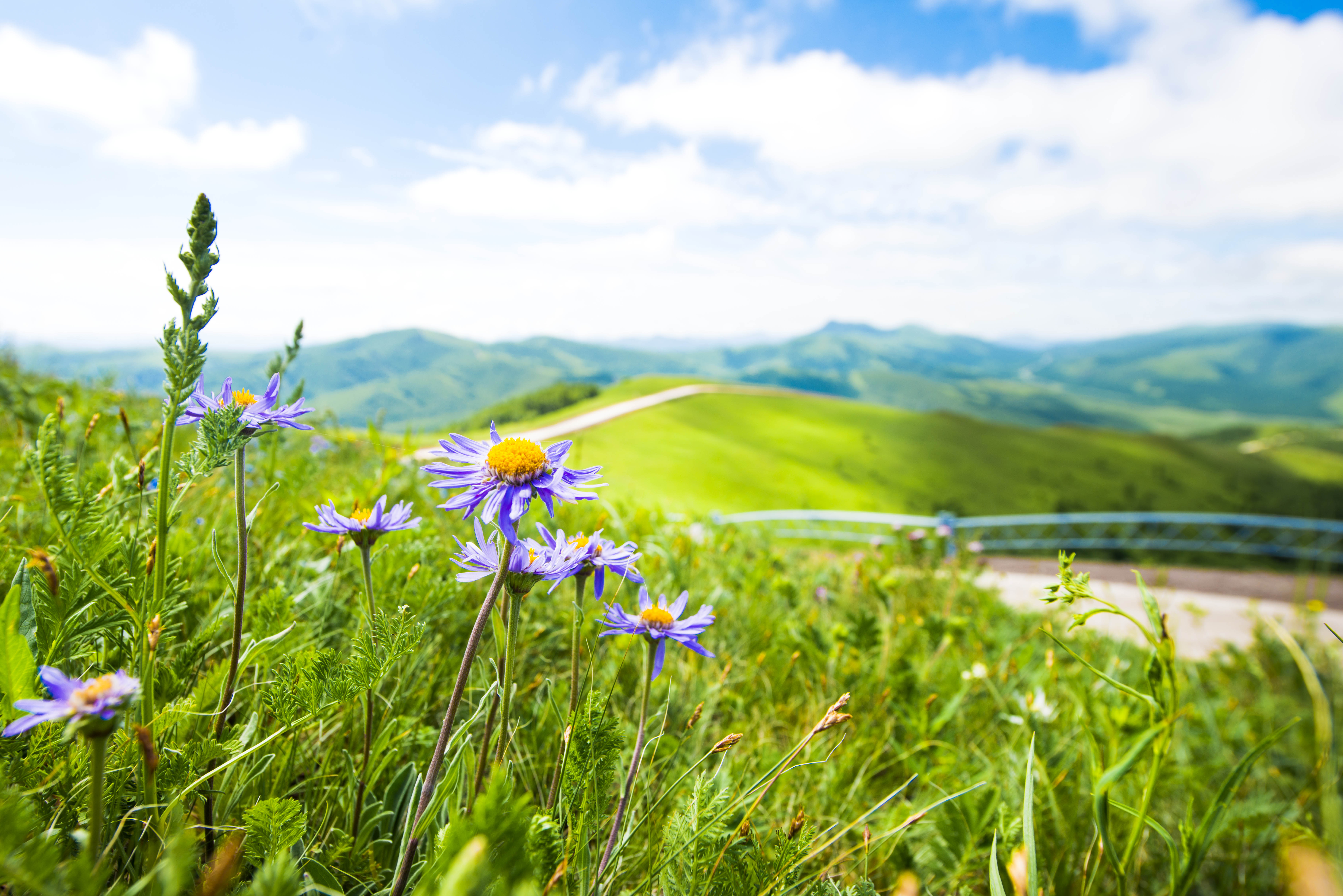 京北第一天路千松坝森林公园,京北第一草原景区和千松坝
