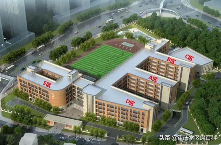 沙小、树人、七中!来看沙坪坝如何布局教育资源