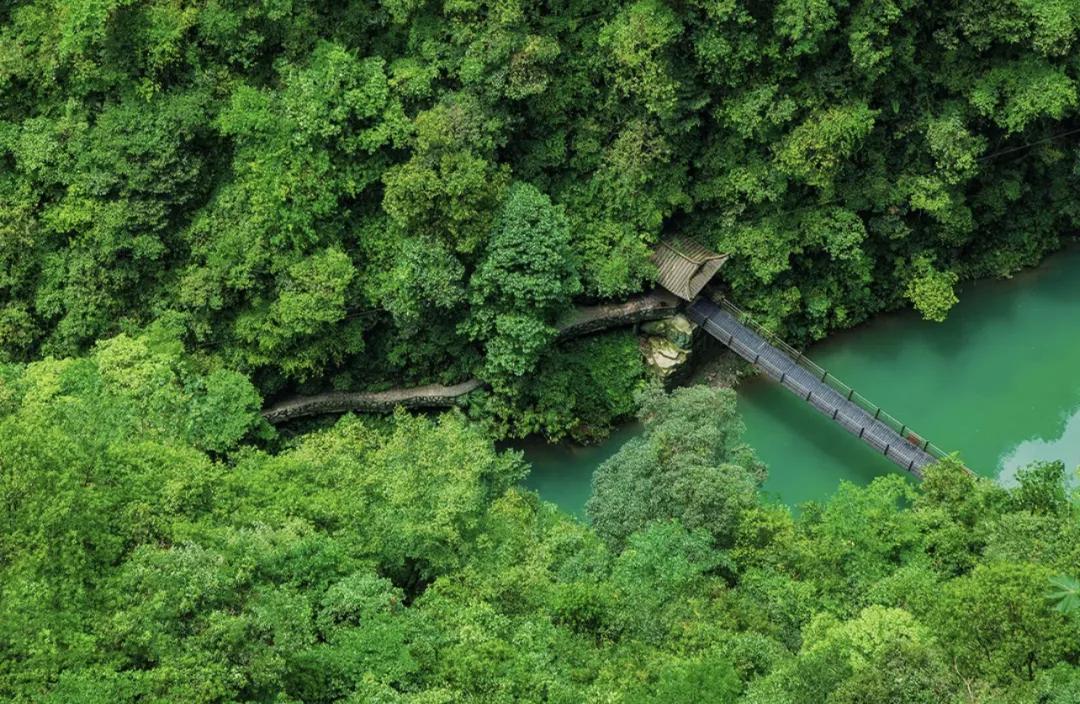 重庆暑假避暑好去处,暑假来了去哪里玩