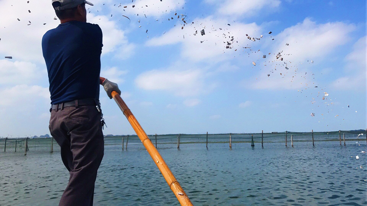阳澄湖螃蟹在哪个季节吃最好,阳澄湖螃蟹的正确蒸煮方法