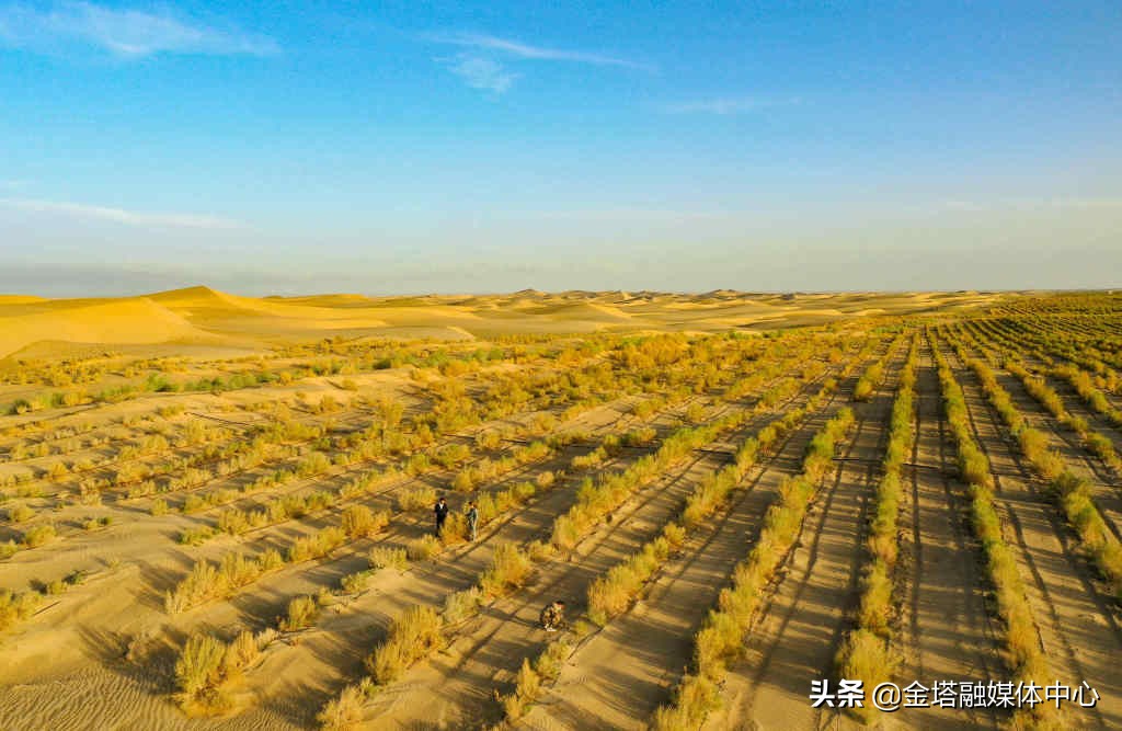 新疆兵团二师37团,新疆生产建设兵团二师22团