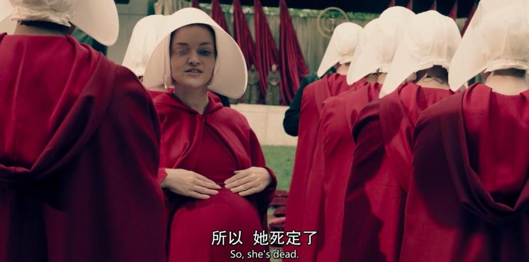 这不是瓜是悲剧，对代孕说NO，别让有价生意摧毁无价生命