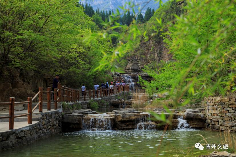 青州泰和山黄花溪,青州黄花溪风景区门票直播