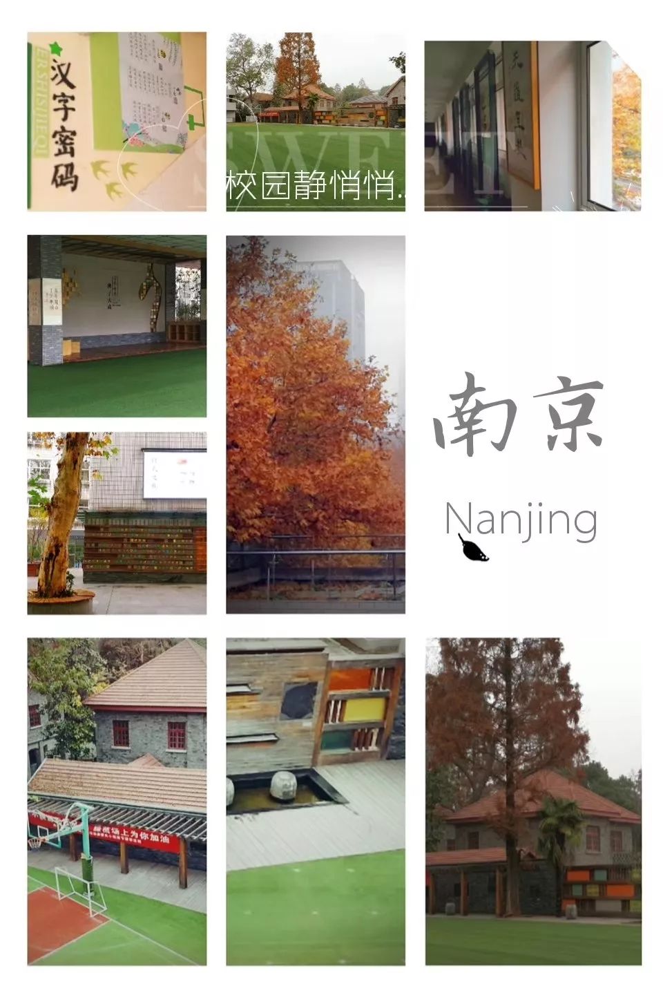 南京有几个新建小学,南京的五所名校小学