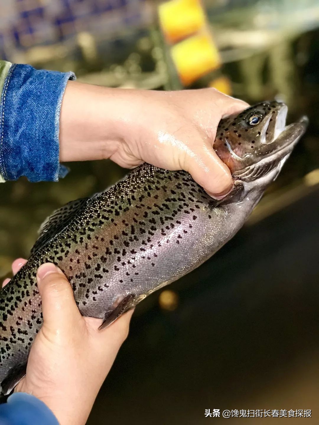 长春十个必去的经典馆子,长春市有哪些好吃的馆子
