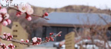 呼和浩特的人文风光图片,呼和浩特古代风景