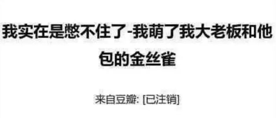 郭小四简介,霸总养成小奶狗