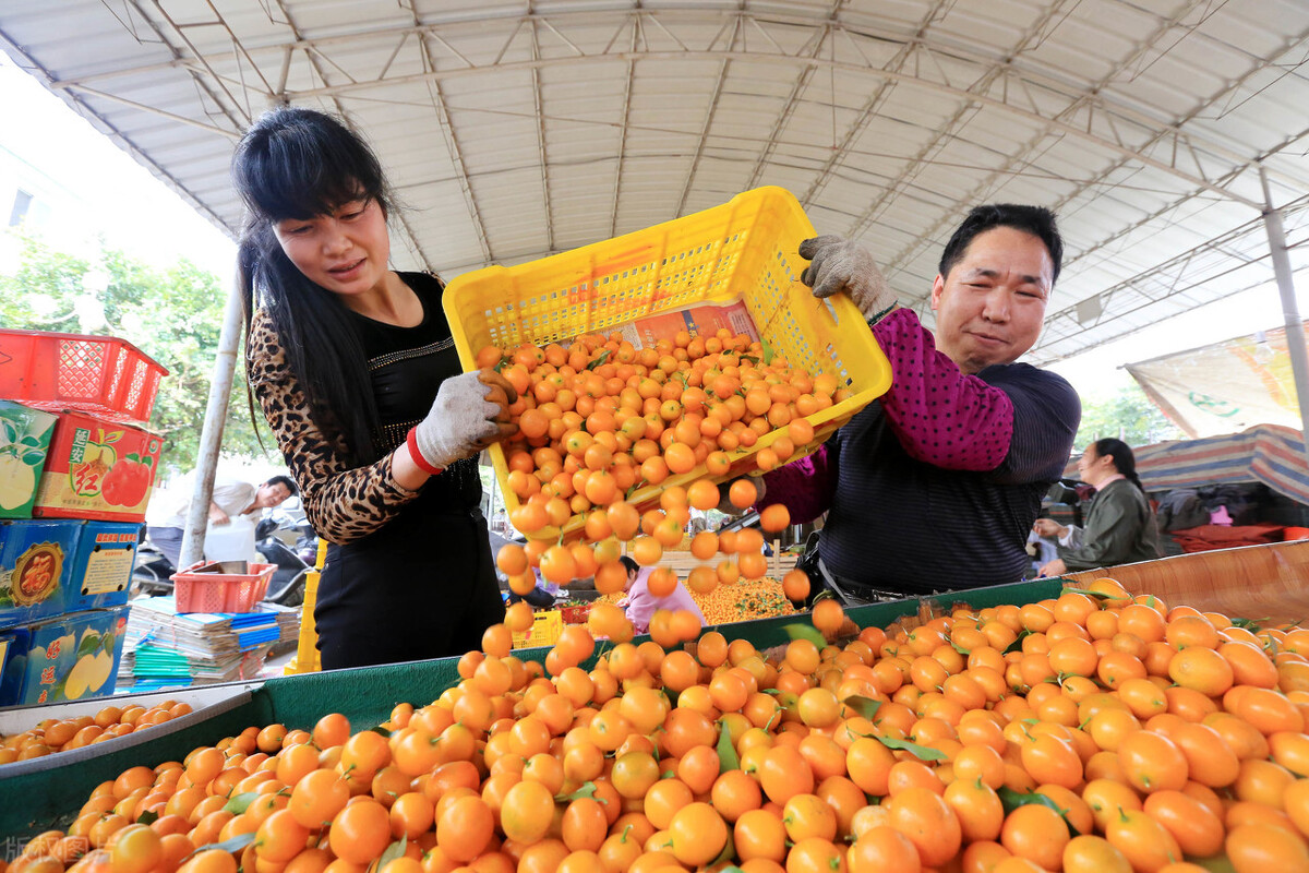 广西农业招商引资项目补贴,广西农业重大项目招商签约