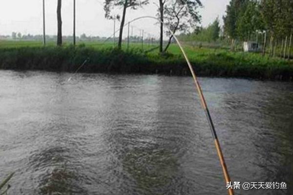 钓鱼钓走水怎样比较好钓,流水钓大鱼调漂技巧