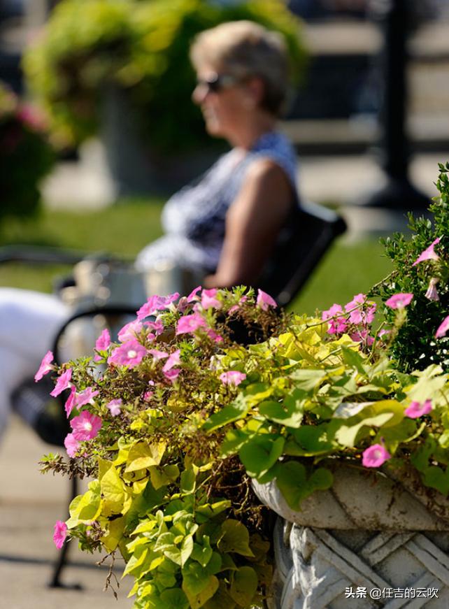 尼康d3300镜头看出去很模糊,尼康300长焦镜头推荐