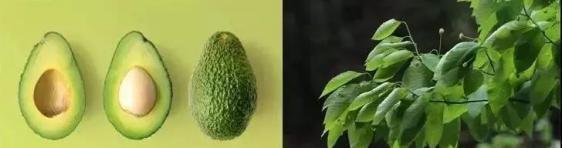 火山泥真是宝，油皮女孩的毛孔疏通剂，让贵妇霜3秒吃透锁水8倍