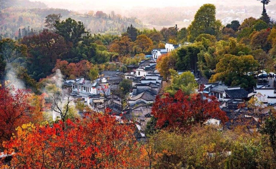 秋郊作诗词,秋意境优美古诗词