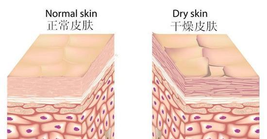 洗澡搓出来的泥是用显微镜放大,洗澡时搓下来的泥是脏东西吗