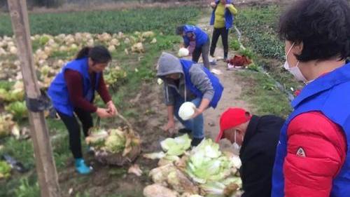 生鲜水果的操作,生鲜水果销售方式和技巧