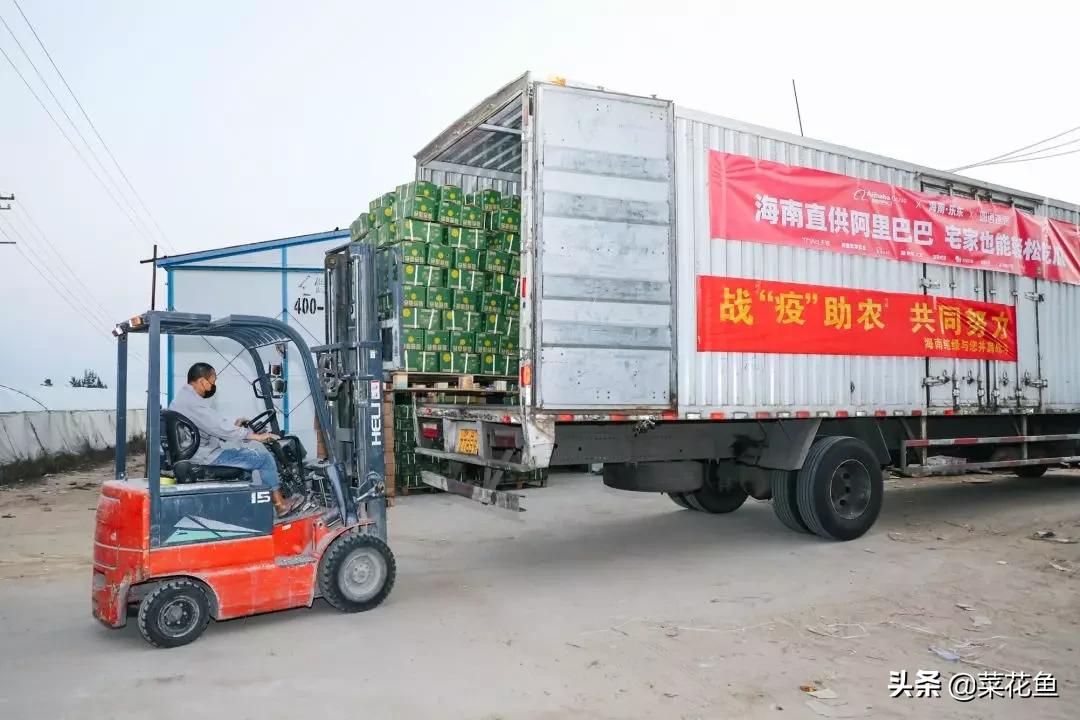 疫情最新消息马云为武汉捐款,疫情马云捐款武汉