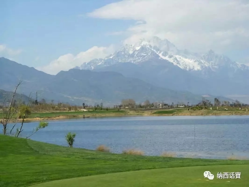 云南丽江杨杰宏,杨杰宏柔术