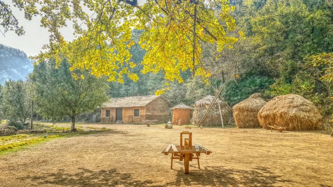 河南正规高职院校排名,河南高职专科院校排名前十有哪些